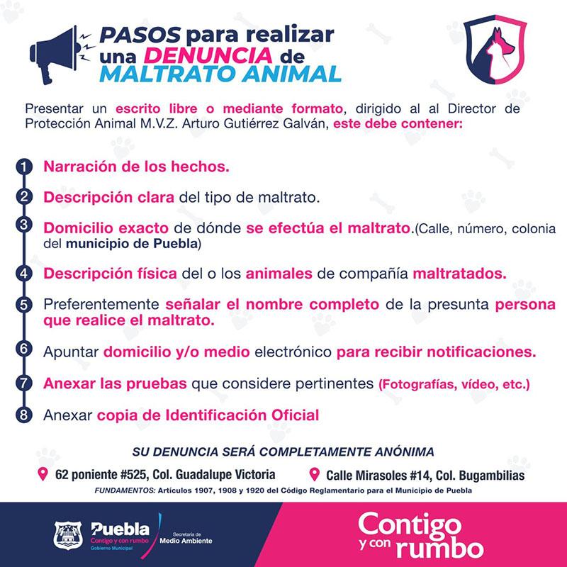 official item