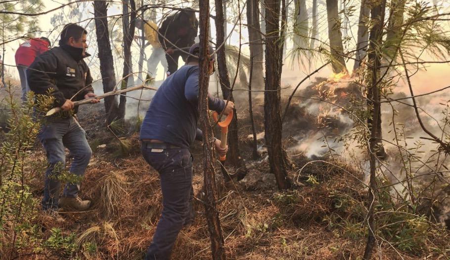 Incendio en Vicente Guerrero afecta 200 hectáreas; Medio Ambiente descarta pérdidas humanas