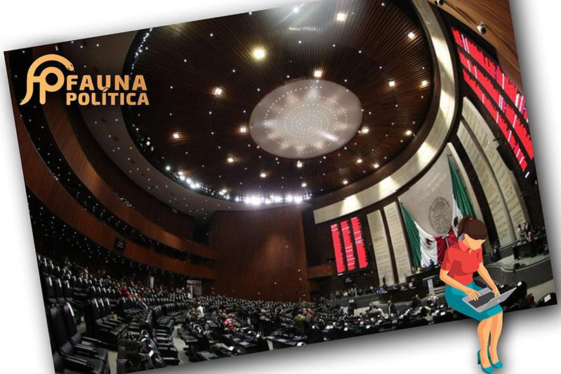 Foto: Cámara de Diputados